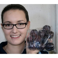 BLACK DIAMOND PLUMS (RED FLESH) 500gram  BAG - GISBORNE GROWN